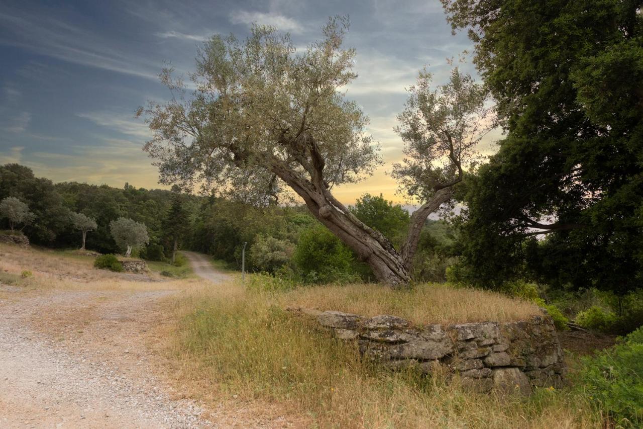 Agriturismo Il Paradiso Di Berignone Villa Caprareccia Exterior foto