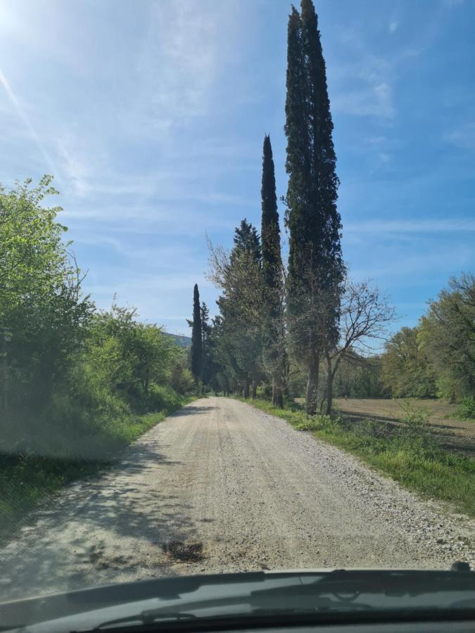 Agriturismo Il Paradiso Di Berignone Villa Caprareccia Exterior foto